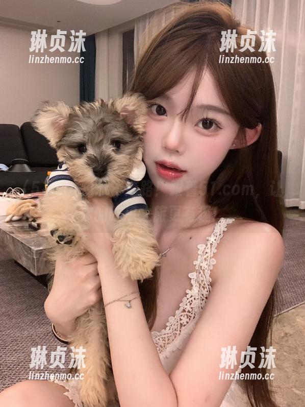 51.com 永不迷路!跟着51.com,让你的吃瓜之旅更有趣!