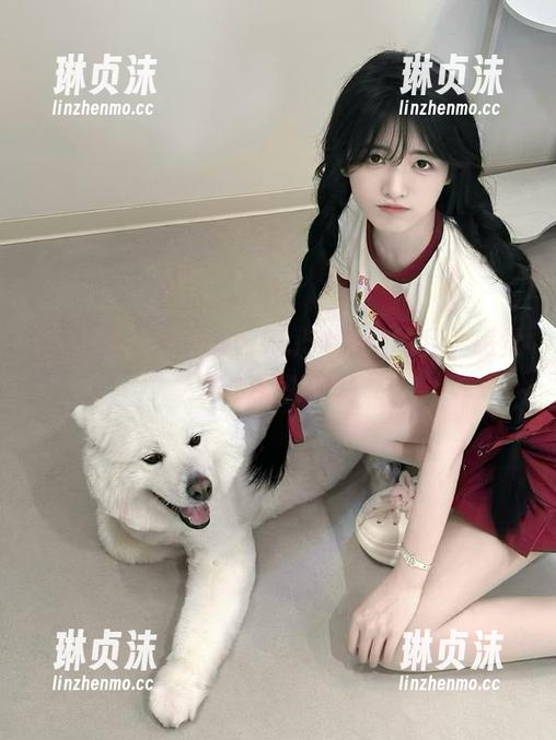 正在寻找www..51地址的我，感觉像个无头苍蝇