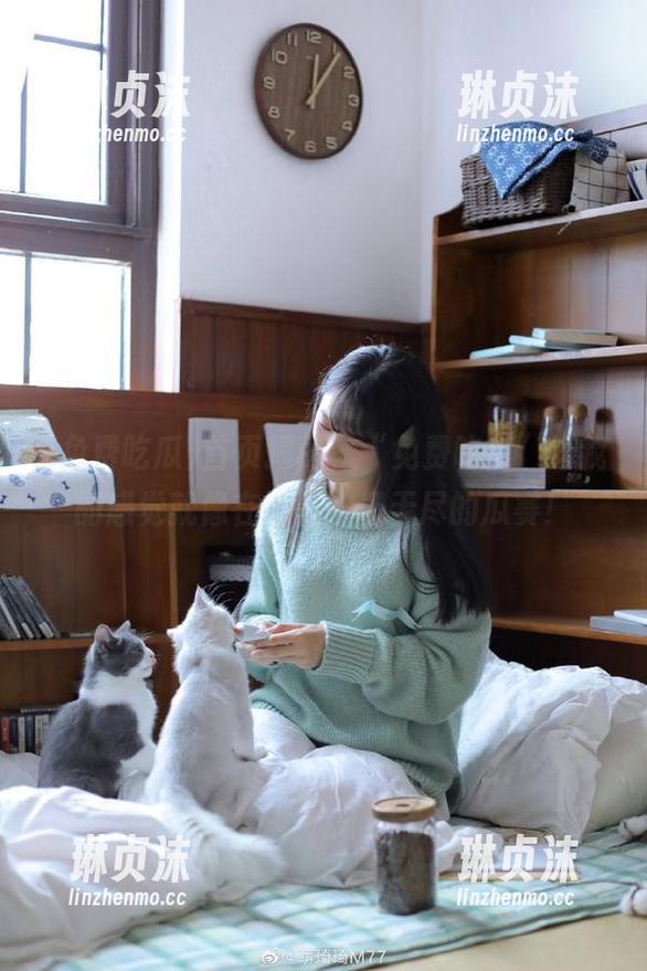 免费吃瓜 首页揭秘,“免费吃瓜”给我的感觉就像在举行一场无尽的瓜赛!