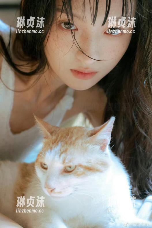 吃瓜网 看这里,吃瓜网的免费链接,踩雷指南!