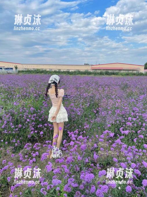 黑料不打烊 黑料不打烊网站网页版,是逼我成为“专业吃瓜群众”的推手吗?