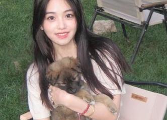 想快速捕获流言蜚语？黑料吃瓜网站的神级网址导航来啦！